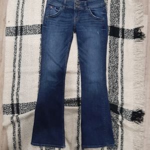 Hudson signature petite bootcut jeans